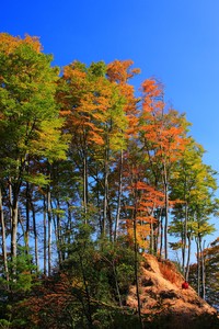 曼联胜利！林加德建功，客场取得重要三分