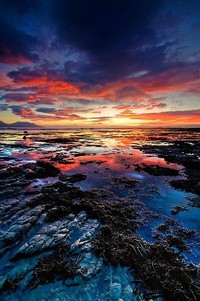 勇士战胜森林狼，实力决战勇猛如斯