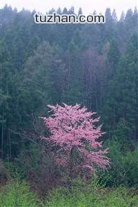 瑞士球队爆冷逆转：瑞士巴塞尔一轮游