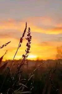 崭露头角，一支球队在比赛中表现出色获得胜利！