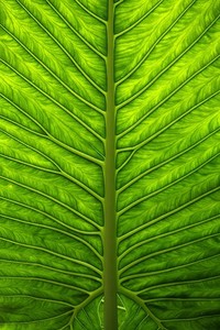 利物浦主教练克洛普领导球队迸发士气