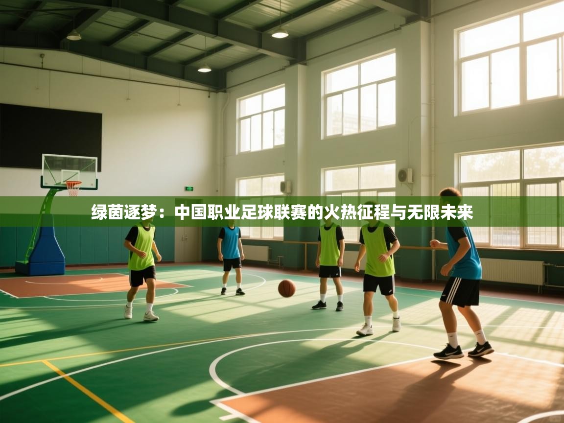 绿茵逐梦：中国职业足球联赛的火热征程与无限未来  第1张